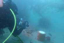 Underwater Octo-Condos Offer Beacon of Hope for Goleta Kelp Beds